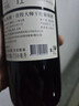 CANIS FAMILIARIS布多格意大利原瓶进口红酒 西拉干红葡萄酒 750ml 单瓶装 实拍图