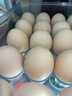 正大无抗认证 富含硒元素 营养蛋白 早餐食材 健康轻食 礼盒装 富硒鸡蛋30枚1.68kg 实拍图