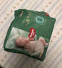 好奇（Huggies）小森林深睡大师系列纸尿裤试用装S4片透氧防漏尿不湿新生儿 实拍图