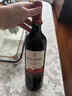 玛安蒂（MAS ANDES）罗思柴尔德男爵雄鹰干红葡萄酒 750ml 采销优选 1号会员店 实拍图