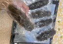即食海参独立包装新鲜海鲜礼盒鲜食大连海参刺身冷冻辽参优质刺参 精美优质礼盒5斤（50-75头） 实拍图