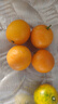 京鲜生 云南油皮金桔/金橘 净重1斤 单果12g起  生鲜水果 实拍图
