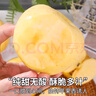甜萌果蔬山东维纳斯苹果黄金好吃新鲜苹果平安夜水果礼盒圣诞节送礼 9斤12A甄选装【单果约90-100mm】净8.5 实拍图