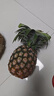 正宗海南金钻凤梨新鲜水果当季树上熟芒果凤梨【催熟食用】 1粒装单果500g-650g【7成熟，催熟再吃】 实拍图