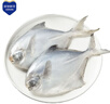 鲜到鲜得 东海银鲳鱼400g/2条装 平鱼 生鲜 鱼类 深海鱼 海鲜水产 实拍图