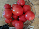 【超市精选】山东沙瓤水果西红柿新鲜番茄蔬菜减肥单果100g起 西红柿中大果 4斤 带箱 实拍图