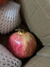 愉果（yuguo）四川会理突尼斯软籽石榴 新鲜水果生鲜礼盒 红石榴 水果 时令生鲜 5斤中果优选净重4.5斤 单果4-5两 实拍图