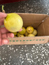 京典光年广西灵山钦蜜9号百香果 黄金百香果纯甜水果新鲜现摘整箱 精品大果净重2斤（单果70±5g） 实拍图