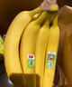 都乐Dole 菲律宾甜蕉2斤盒装 香甜软糯 生鲜水果 源头直发 包邮 水果 实拍图