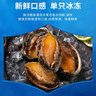金唐鲜冻大鲍鱼净重500g/ 10头鲍 带壳鲍鱼肉 贝类海鲜生鲜火锅烧食材 实拍图