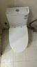 九牧（JOMOO）11173-2-1/31KD-3大力神家用马桶虹吸抗菌节水洁具305坑距 实拍图
