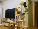 派阿哥全实木太空舱猫窝大型猫爬架豪华剑麻猫树一体猫咪跳台太空舱猫架 松木剑麻189*90*40 实拍图