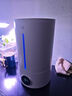 京东京造加湿器空气净化器一体 卧室家用办公室桌面 4.5L大容量 小型立式低噪 迷你雾化器 银离子材料 实拍图