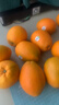 农夫山泉 17.5° 橙 脐橙/橙子 净重10斤装 铂金果 生鲜水果礼盒 实拍图