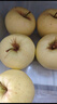 樱慕晴 辽宁大连黄元帅苹果 黄金帅粉面起沙金帅苹果新鲜当季水果整箱 净重3斤70-80mm 实拍图