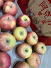 京鲜生 新疆阿克苏苹果 净重9斤 果径80-85mm 新鲜水果 实拍图