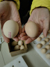 京鲜生 无抗保洁鲜鸡蛋30枚/盒 健康轻食 礼盒送礼 1.5kg/盒 源头直发 实拍图