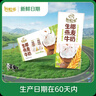 伊利【新鲜日期】谷粒多生椰燕麦牛奶200ml*12盒 礼盒装 低GI食品 实拍图