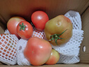 新鲜沙瓤西红柿自然成熟现摘现发番茄下蔬菜生鲜减肥单果80g+ 新鲜西红柿 5斤 带箱 实拍图