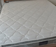 顾家家居京东家具天然乳胶独袋弹簧床垫席梦思主次卧梦想垫1.8X2米 实拍图