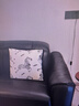 范爷家多巴胺沙发抱枕绣花卧室客厅靠垫床头靠枕办公室腰靠车载背垫含芯 实拍图