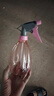 喷壶浇花浇水喷雾器气压式喷水壶家用园艺养花500ml 南瓜喷壶透粉【2个装】 实拍图