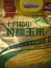 十月稻田 黄糯玉米 3.52斤(220g*8根) 25年新玉米 东北玉米 早餐 低脂粗粮 实拍图