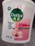 滴露（Dettol）洗手液滋润500g*6 抑菌洗手液家庭装大桶儿童消毒无酒精温和护手 实拍图