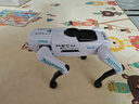盈佳智能ai机器狗遥控车早教编程机器人遥控儿童玩具男孩女孩圣诞礼物 实拍图
