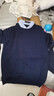 杉杉（FIRS）含羊毛男装假两件毛衣男冬季新款纯色衬领抗寒通勤毛衫042 深蓝色 100%羊毛 L (175) 实拍图