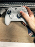 飞智冰原狼4多模版无线游戏手柄 类xbox 力调节摇杆双切扳机 switch电脑PC手机steam体感NS 丝之歌 实拍图