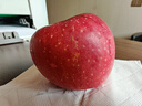 洛川苹果陕西延安红富士时令苹果水果礼盒礼品苹果生鲜新鲜脆甜整箱好吃 18枚75mm优选果 彩箱装 实拍图