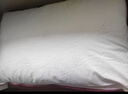 水星家纺枕头枕芯酒店枕头护颈枕头芯家用单个纯棉抗菌可水洗中枕48x74cm 实拍图