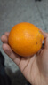 京鲜生 湖北秭归鲜橙净重4.5斤 单果170g+ 生鲜水果 源头直发包邮 实拍图