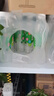 依能 日向夏橘味苏打水 无糖无汽弱碱 0脂饮料 500ml*24瓶 塑膜装 实拍图