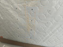 喜临门乳胶椰棕床垫 抗菌防螨独袋弹簧床垫 梦蝶旗舰版1.5x2米 软硬适中 实拍图