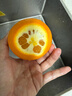 新奇士（Sunkist） 澳洲黑标晚熟脐橙4斤礼盒装 单果180g起 生鲜水果礼盒 实拍图