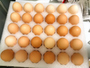 京鲜生可生食标准鲜鸡蛋30枚礼盒装3斤 源头直发 实拍图