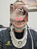 鱼跃（Yuwell）升级款加强颈椎牵引器家用颈托护颈椎支撑医用理疗治疗仪固定器 实拍图