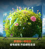 创维电视A4F Pro 65英寸 mini led控光 极黑低反屏4+64G Hi-Fi级专业音响 一级能效 国家补贴 A4F升级 实拍图