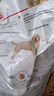 皇家狗粮 拉布拉多成犬狗粮 宠物大型犬 LR30 全价犬粮 ≥15月 12KG 实拍图