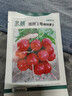 北蔬 小萝卜种子秋种红皮水果萝卜蔬菜籽 潍胖1号樱桃萝卜种子约500粒 实拍图