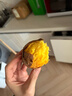 正宗精品沙地烟薯25号空气炸锅烤地瓜流油蜜薯秋冬烤薯煮粥必备 精品中小果（1两-3两） 净重9斤 实拍图