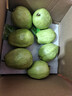 京鲜生白心芭乐番石榴净重3斤 单果150g起 脆果 水果源头直发包邮 实拍图