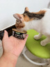网易严选宠物主食罐成猫幼猫全猫罐头 高肉含量0谷物猫罐头禽肉罐85g*24罐 实拍图