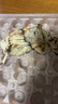 【活蟹】阳澄逍遥大闸蟹鲜活螃蟹生鲜礼盒河湖海鲜公4.7-5.0母3.7-4.0两4对8只源头直发 实拍图