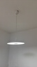 爱斯兰餐厅吊灯现代简约餐桌吊线灯 防眩全光谱餐吊灯LED灯具护眼轻奢 24W  (中号白色自然光) 6-10㎡ 实拍图