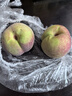 山东冬雪蜜桃 青州蜜桃毛桃 当季新鲜水果-山野 甄选山东果带箱2斤 实拍图