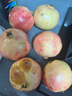 京鲜生 会理突尼斯软籽石榴 4.5斤单果300-350g 生鲜水果 源头直发 实拍图