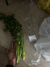 带根香菜100g 实拍图